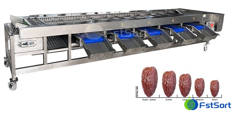 date sorting line.jpg date sorting line.jpg